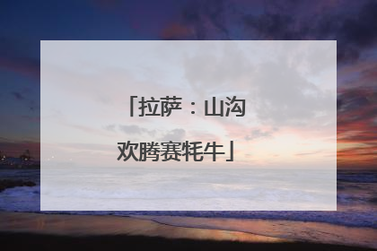 拉萨：山沟欢腾赛牦牛