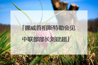 挪威首相斯特勒会见中联部部长刘建超