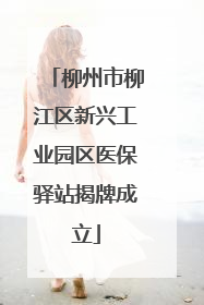柳州市柳江区新兴工业园区医保驿站揭牌成立