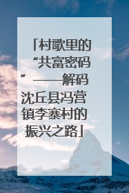 村歌里的“共富密码”——解码沈丘县冯营镇李寨村的振兴之路
