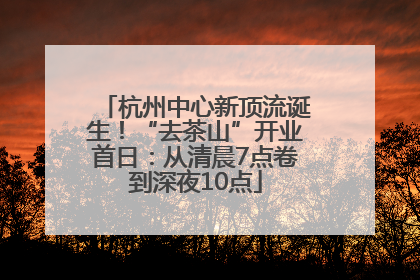 杭州中心新顶流诞生！“去茶山”开业首日：从清晨7点卷到深夜10点