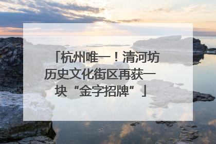 杭州唯一！清河坊历史文化街区再获一块“金字招牌”