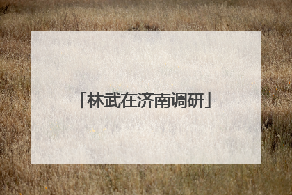 林武在济南调研