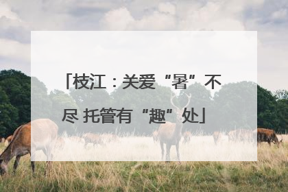 枝江：关爱“暑”不尽 托管有“趣”处
