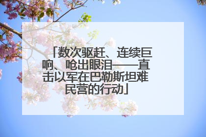 数次驱赶、连续巨响、呛出眼泪——直击以军在巴勒斯坦难民营的行动