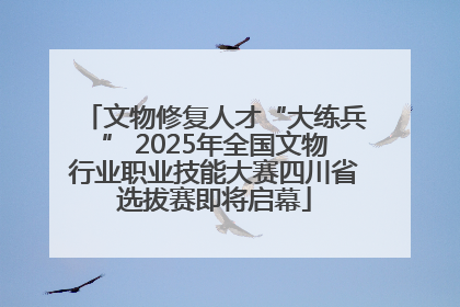 文物修复人才“大练兵” 2025年全国文物行业职业技能大赛四川省选拔赛即将启幕