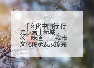文化中国行 行走东营丨新城，“老”味道——我市文化传承发展擦亮地域特色
