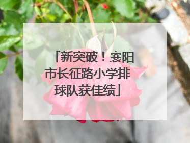 新突破！襄阳市长征路小学排球队获佳绩