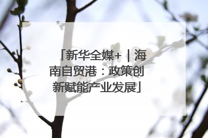 新华全媒+｜海南自贸港：政策创新赋能产业发展