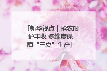 新华视点｜抢农时 护丰收 多维度保障“三夏”生产