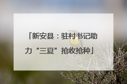 新安县：驻村书记助力“三夏”抢收抢种