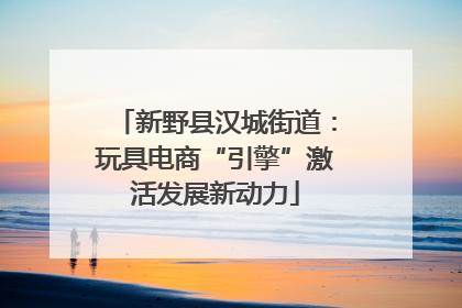 新野县汉城街道：玩具电商“引擎”激活发展新动力