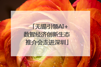 无锡引领AI+数智经济创新生态推介会走进深圳