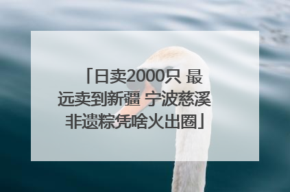 日卖2000只 最远卖到新疆 宁波慈溪非遗粽凭啥火出圈