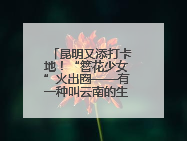 昆明又添打卡地！“簪花少女”火出圈——有一种叫云南的生活之365天