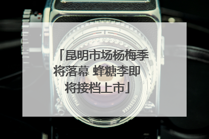 昆明市场杨梅季将落幕 蜂糖李即将接档上市