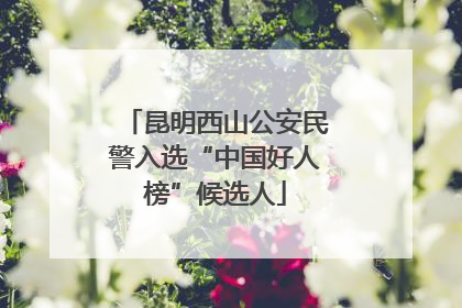 昆明西山公安民警入选“中国好人榜”候选人