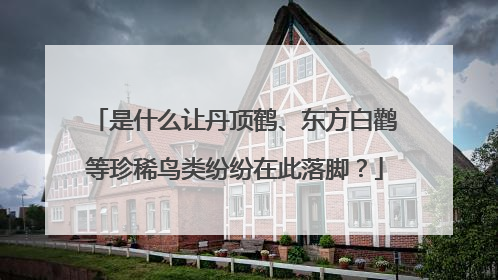 是什么让丹顶鹤、东方白鹳等珍稀鸟类纷纷在此落脚？