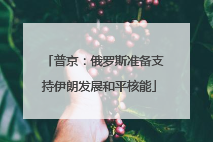 普京：俄罗斯准备支持伊朗发展和平核能