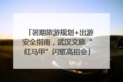 暑期旅游规划+出游安全指南，武汉文旅“红马甲”闪耀高招会