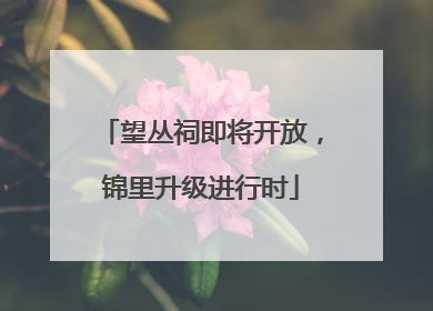 望丛祠即将开放，锦里升级进行时
