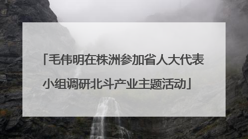 毛伟明在株洲参加省人大代表小组调研北斗产业主题活动