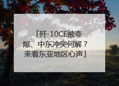 歼-10CE被夸爆、中东冲突何解？来看东亚地区心声