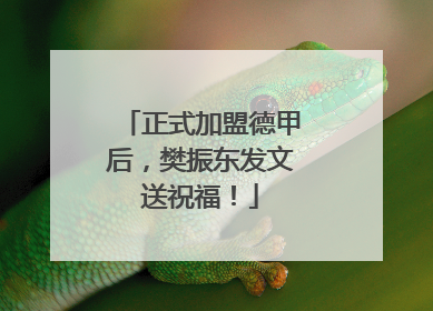 正式加盟德甲后，樊振东发文送祝福！