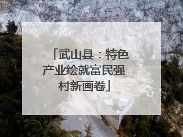 武山县：特色产业绘就富民强村新画卷