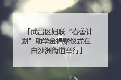 武昌区妇联“春蕾计划”助学金捐赠仪式在白沙洲街道举行