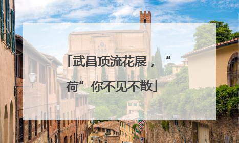 武昌顶流花展，“荷”你不见不散