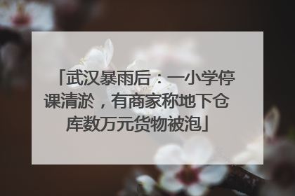 武汉暴雨后：一小学停课清淤，有商家称地下仓库数万元货物被泡