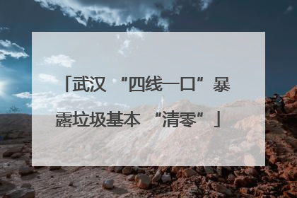 武汉 “四线一口”暴露垃圾基本 “清零”