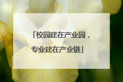 校园建在产业园，专业建在产业链