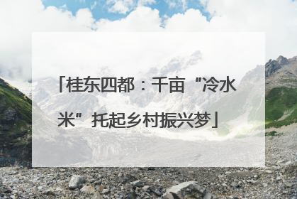 桂东四都：千亩“冷水米”托起乡村振兴梦