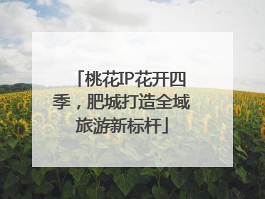 桃花IP花开四季，肥城打造全域旅游新标杆