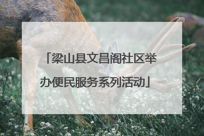 梁山县文昌阁社区举办便民服务系列活动