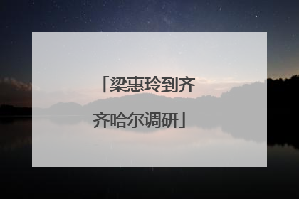 梁惠玲到齐齐哈尔调研