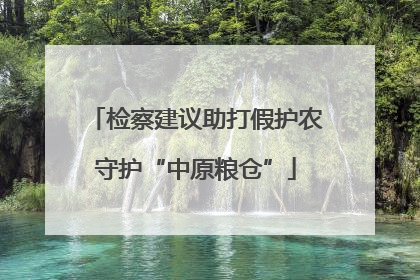 检察建议助打假护农守护“中原粮仓”