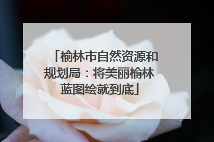榆林市自然资源和规划局：将美丽榆林蓝图绘就到底