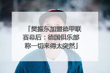 樊振东加盟德甲联赛幕后：德国俱乐部称一切来得太突然