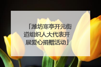 潍坊寒亭开元街道组织人大代表开展爱心捐赠活动