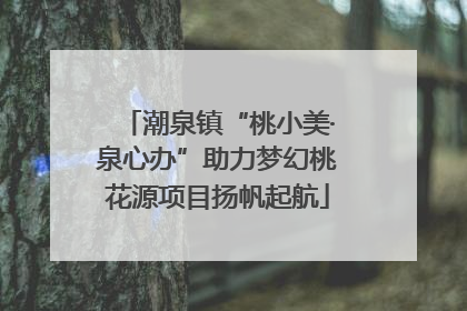 潮泉镇“桃小美·泉心办”助力梦幻桃花源项目扬帆起航