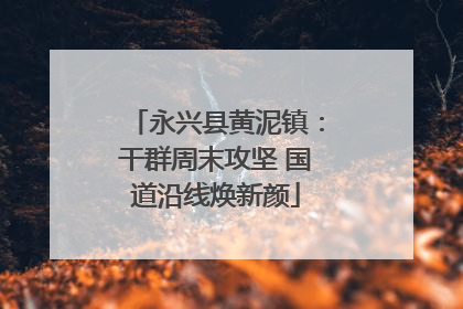 永兴县黄泥镇：干群周末攻坚 国道沿线焕新颜