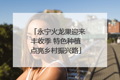 永宁火龙果迎来丰收季 特色种植点亮乡村振兴路