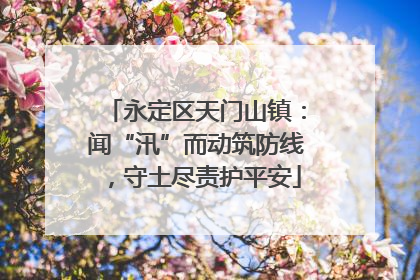 永定区天门山镇：闻“汛”而动筑防线，守土尽责护平安