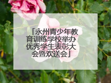 永州青少年教育训练学校举办优秀学生表彰大会暨欢送会