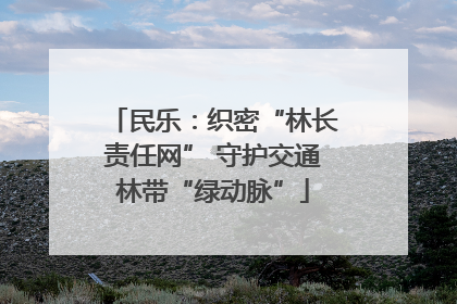 民乐：织密“林长责任网” 守护交通林带“绿动脉”