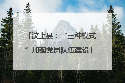 汶上县：“三种模式”加强党员队伍建设