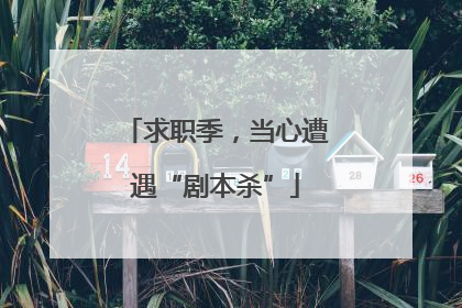 求职季，当心遭遇“剧本杀”